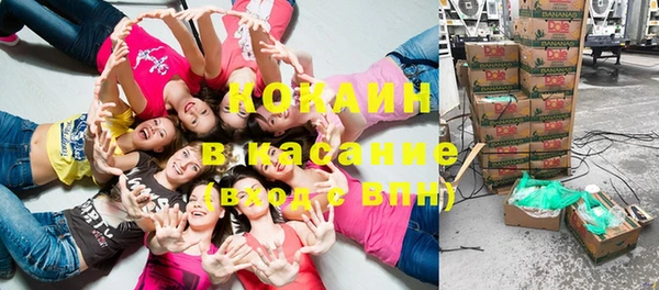 шишки Бородино