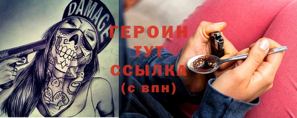 шишки Бородино