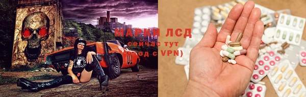 шишки Бородино