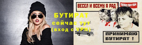 шишки Бородино