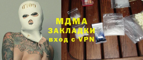 шишки Бородино