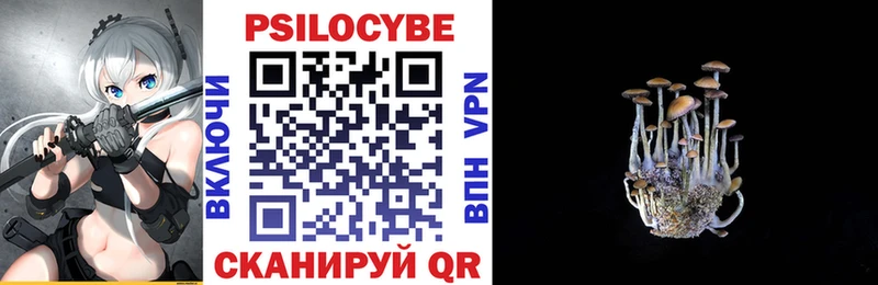 blacksprut как зайти  купить  цена  Южноуральск  Галлюциногенные грибы Cubensis 